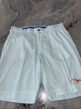 EUC True Flies seersucker shorts, size 38